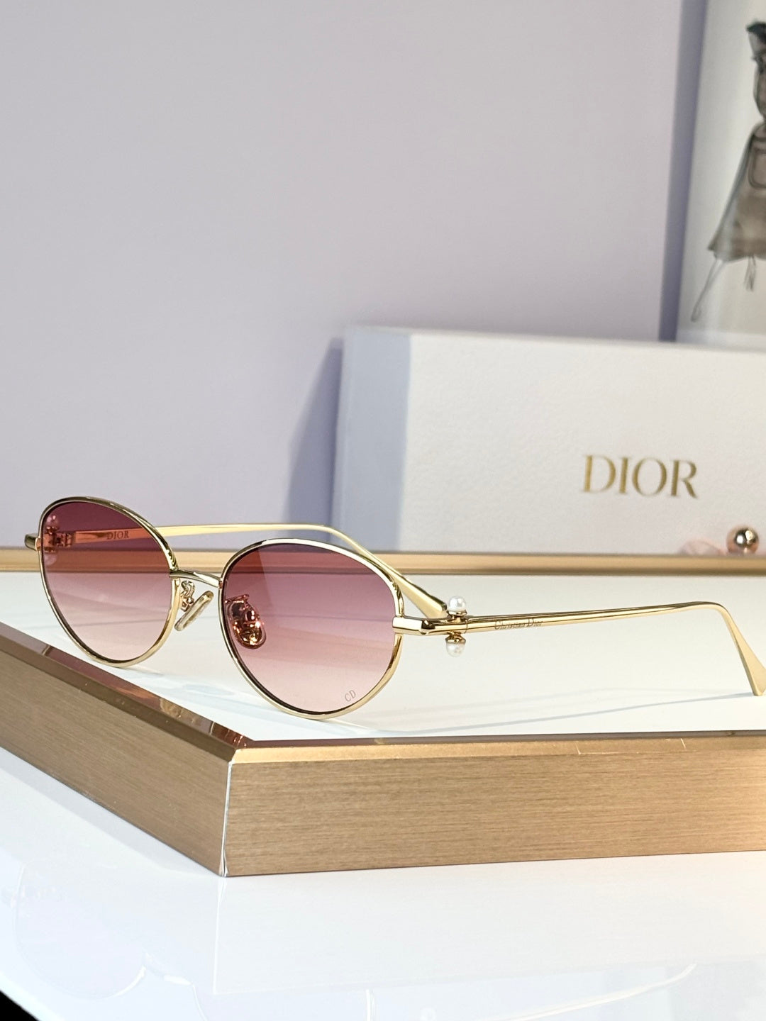Dior Diortriba1es S2U Sunglasses