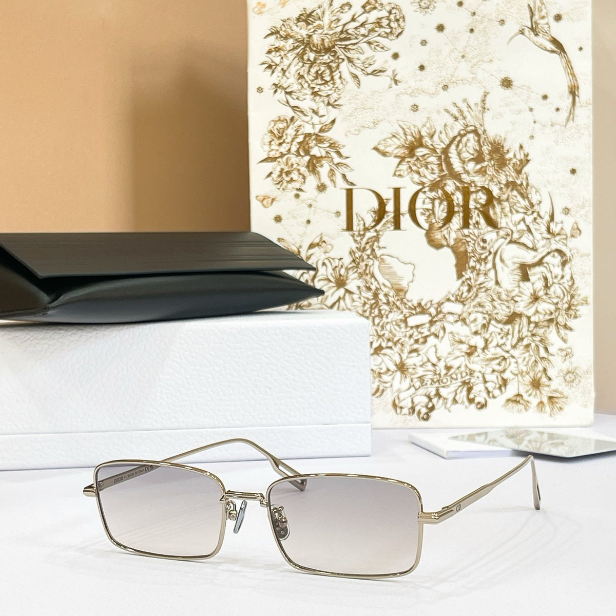 Dior DiorBlackSuit S21U Sunglasses