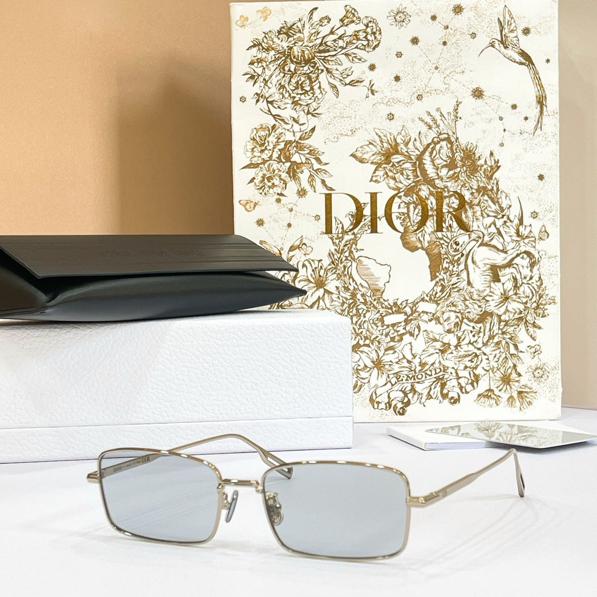 Dior DiorBlackSuit S21U Sunglasses