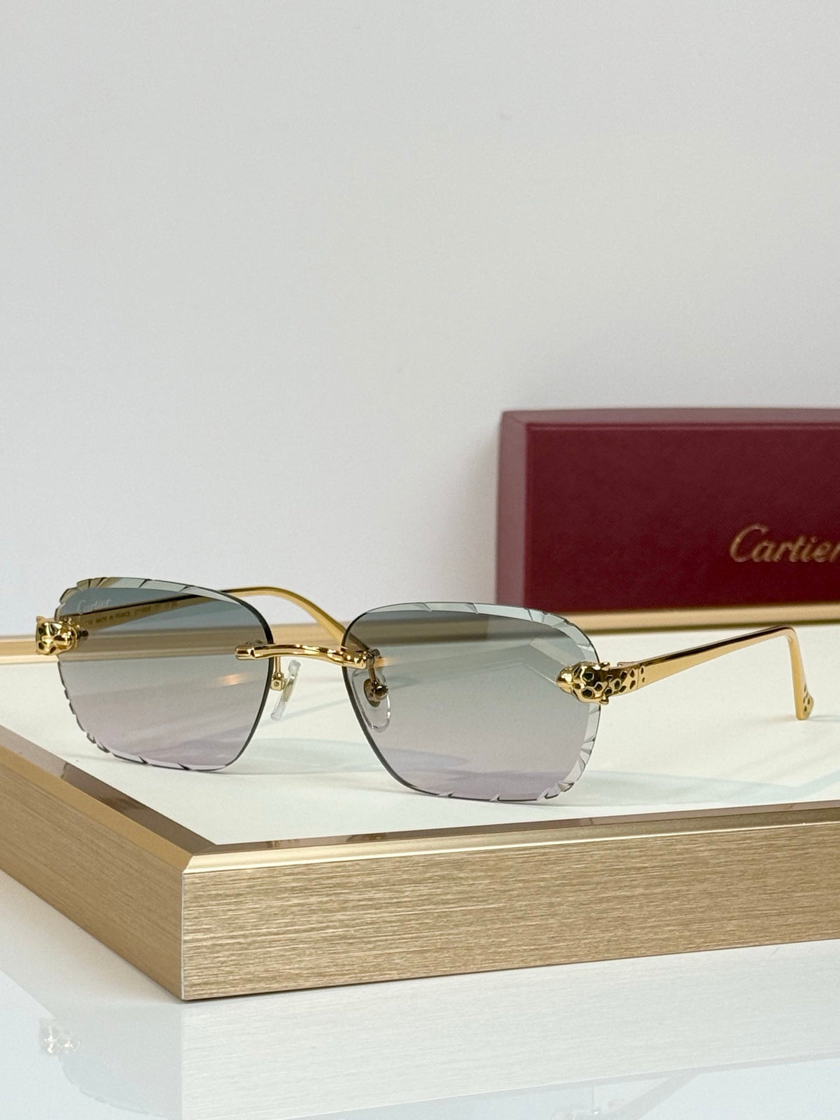 Cartier CT7450S Sunglasses